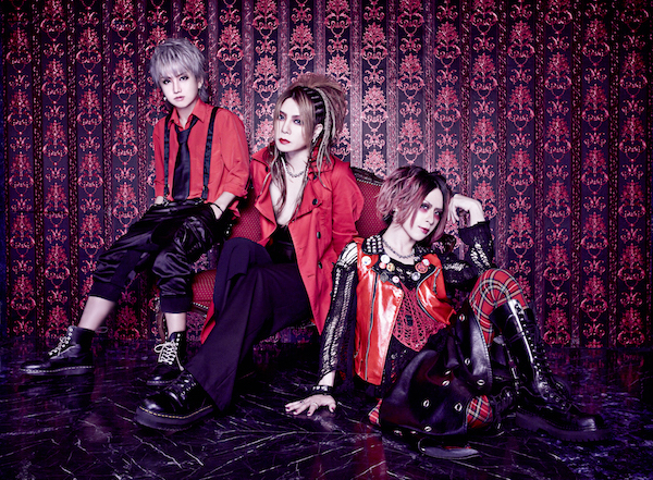 Anli Pollicino／LAST TOUR「Immortal」DVD4枚｜Yahoo!フリマ