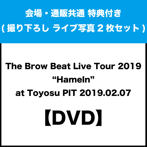 【特典(撮り下ろし ライブ写真2枚セット)付き】<DVD>The Brow Beat Live Tour 2019 “Hameln” at Toyosu PIT 2019.02.07